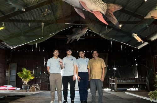 3 học sinh dạy thêm để kiếm tiền mở phòng trưng bày các loài cá Mê Kông